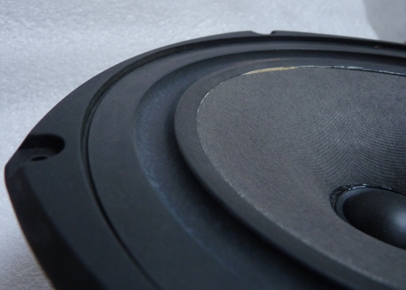 Celestion DL6 Series Two HiFi Mid Bass Woofer 3